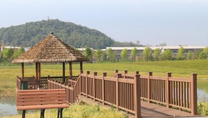木塑涼棚和欄桿空心陽台方柱木塑複合柱防水木塑扶手花園柱